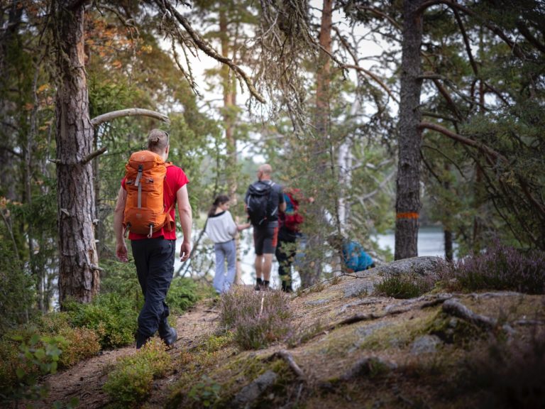 Vandring i Tiveden med flera personer och en ryggsäck i förgrunden.